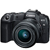 Фотоаппарат Canon EOS R8 Kit RF 24-50mm f/4.5-6.3 IS STM Black, Русское меню CAN-187